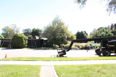 Enlarge photo 5