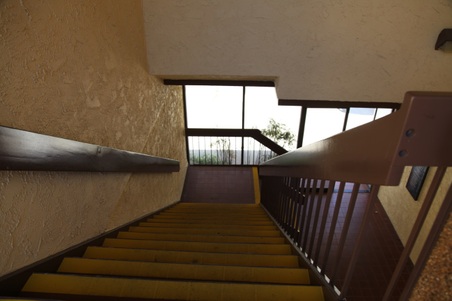 Enlarge photo 50