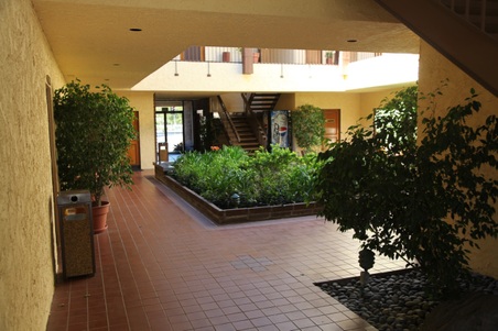 Enlarge photo 53