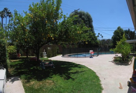 Enlarge photo 40