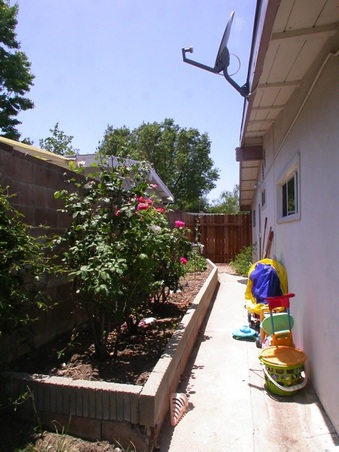 Enlarge photo 41