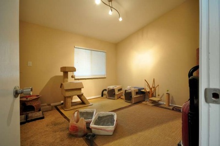 Enlarge photo 35