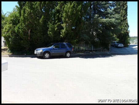 Enlarge photo 41