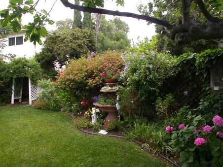 Enlarge photo 46