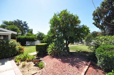 Enlarge photo 48