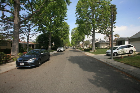 Enlarge photo 61