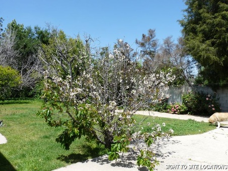 Enlarge photo 68