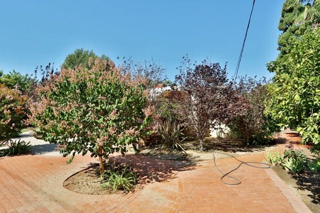 Enlarge photo 45