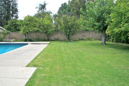 Enlarge photo 48