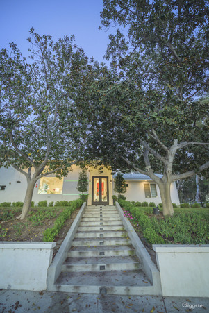 Mid Century Modern