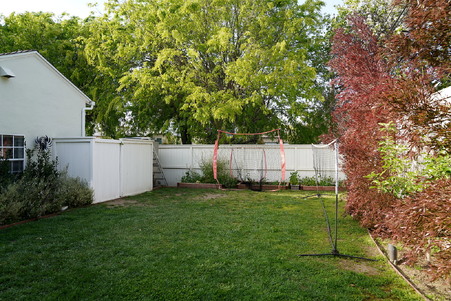 Enlarge photo 62
