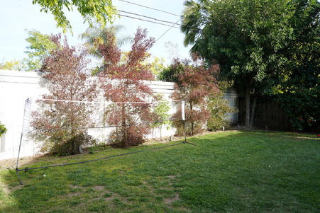 Enlarge photo 65