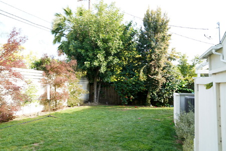 Enlarge photo 66