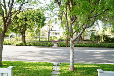 Enlarge photo 82