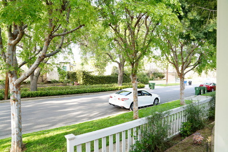 Enlarge photo 83