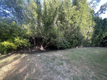 Enlarge photo 48