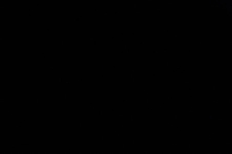 Enlarge photo 61