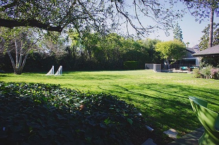 Enlarge photo 96
