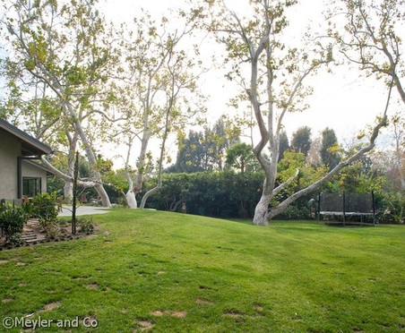 Enlarge photo 53
