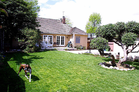Enlarge photo 5