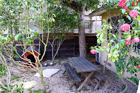 Enlarge photo 23