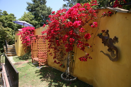 Enlarge photo 24