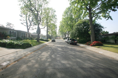 Enlarge photo 52