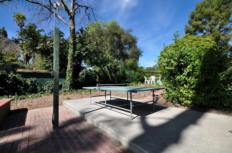 Enlarge photo 57