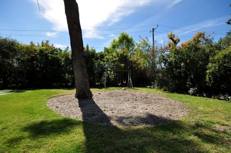 Enlarge photo 58