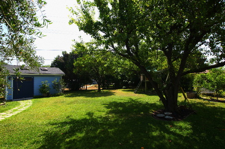 Enlarge photo 10