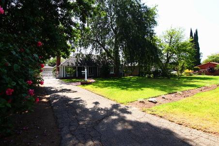 Enlarge photo 37