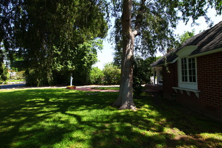 Enlarge photo 50