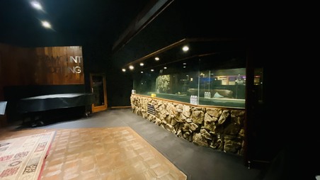 Enlarge photo 33