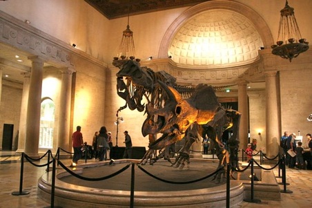 Dinosaur Exhibit