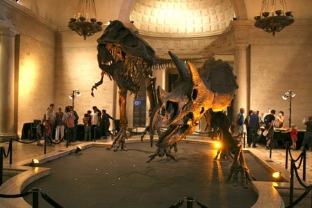 Enlarge photo 3