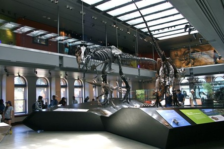 Enlarge photo 20
