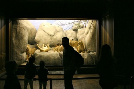 Enlarge photo 10