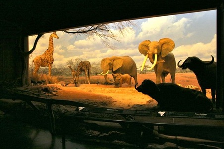 Enlarge photo 16
