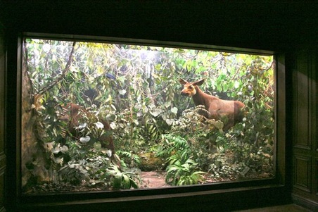 Enlarge photo 22