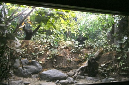 Enlarge photo 23