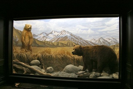 Enlarge photo 10