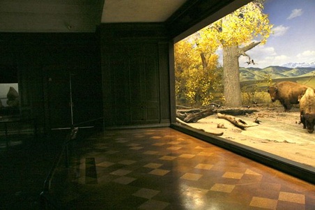 Enlarge photo 15