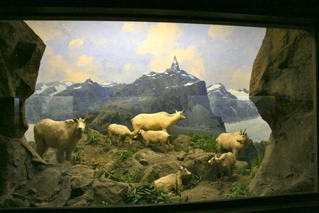 Enlarge photo 20