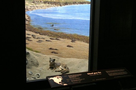 Enlarge photo 9