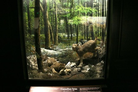 Enlarge photo 13