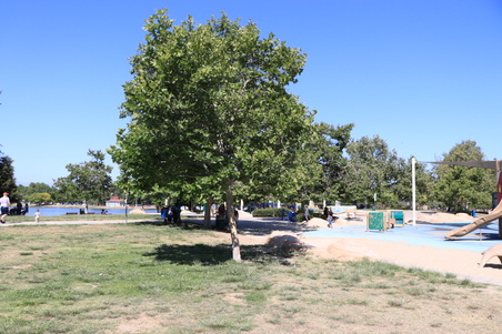 Enlarge photo 14