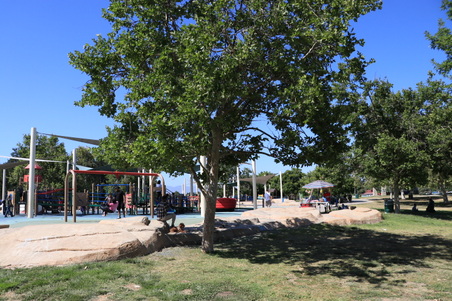 Enlarge photo 23