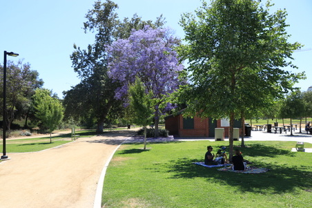 Enlarge photo 18