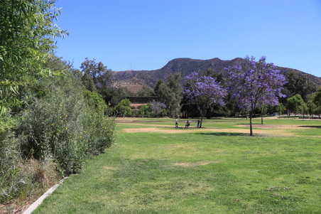 Enlarge photo 21