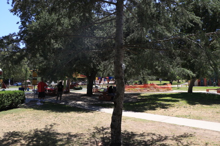 Enlarge photo 7